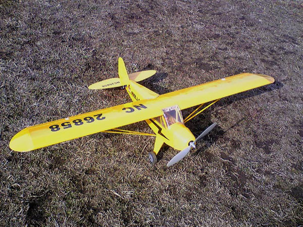 JU_sama_Cub15_1.jpg