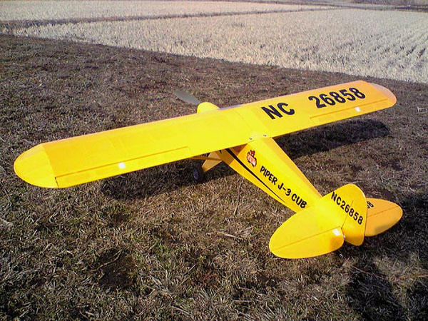 JU_sama_Cub15_2.jpg
