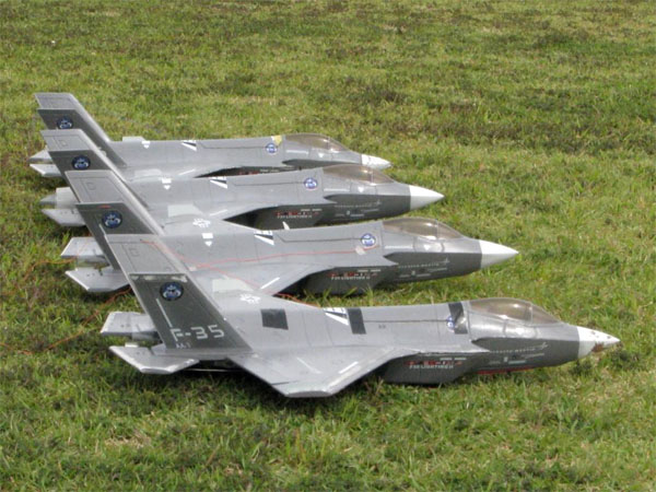 Neko_sama_F35A_1.jpg