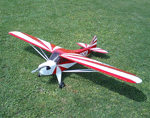 TS_sama_cub_Red_1.jpg