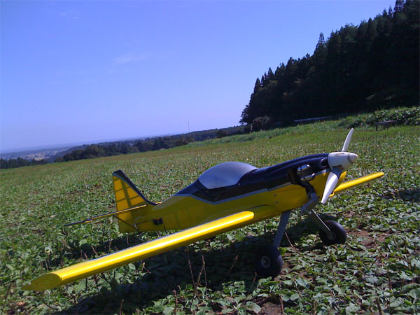 Z-50 Sport